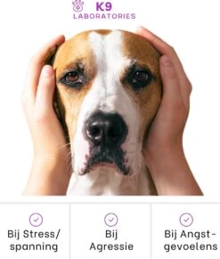 K9 Laboratories Kalmte & Balans - Hond - 60 Stuks - Bij Stress, Angst En Agressie - Ashwagandha - L-tryptofaan - Passiebloem - Valeriaanwortel - Lavendel -PetSafe Huisdieren Verkoopwinkel 1023x1200