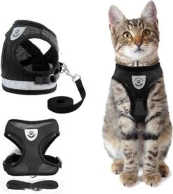 Merkloos Kattentuigje Met Looplijn | Zwart Kattenharnas | Easy Step In | Kattenriem | Kattenlijn | Kattentuig | Maat S 17 Merkloos Kattentuigje Met Looplijn | Zwart Kattenharnas | Easy Step In | Kattenriem | Kattenlijn | Kattentuig | Maat S -PetSafe Huisdieren Verkoopwinkel 1070x1200