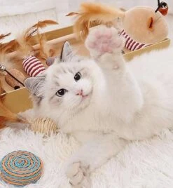 GIZMO Luxe Kattenspeeltjes Set - 7 Speeltjes - Interactieve Kattenhengel, Kattenspeelgoed & Speelmuisjes - Kitten Speeltjes -PetSafe Huisdieren Verkoopwinkel 1108x1200