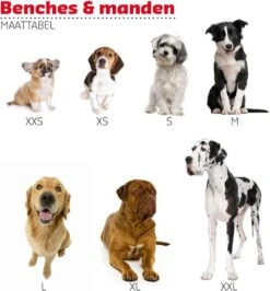 Adori Vetbed Basic - Dierendeken - Grijs - 122 X 75 Cm 5 Adori Vetbed Basic - Dierendeken - Grijs - 122 X 75 Cm -PetSafe Huisdieren Verkoopwinkel 1115x1200