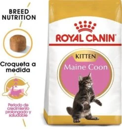 Royal Canin Maine Coon Kitten - Kattenvoer - 4 Kg -PetSafe Huisdieren Verkoopwinkel 1132x1200 4