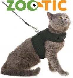 Zootic Kattentuigje Met Leiband Riem Kattenharnas Zwart Maat M Kat & Kitten - Halsomvang 20 Tot 26cm - Borstomvang 30 Tot 34cm -PetSafe Huisdieren Verkoopwinkel 1135x1200 2