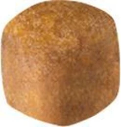 Royal Canin Maine Coon Kitten - Kattenvoer - 4 Kg -PetSafe Huisdieren Verkoopwinkel 1147x1200 2