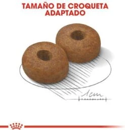 Royal Canin Maxi Ageing 8+ 15 KG -PetSafe Huisdieren Verkoopwinkel 1149x1200 3