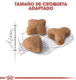 Royal Canin Sensible 33 - Kattenvoer - 10+2 Kg Bonusbag 17 Royal Canin Sensible 33 - Kattenvoer - 10+2 Kg Bonusbag -PetSafe Huisdieren Verkoopwinkel 1149x1200 4