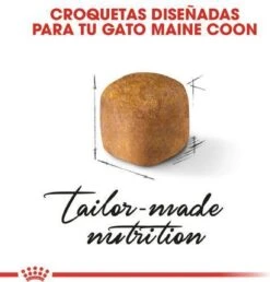 Royal Canin Maine Coon Kitten - Kattenvoer - 4 Kg -PetSafe Huisdieren Verkoopwinkel 1151x1200 1