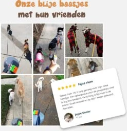 Dubbele Honden Riem – Leiband Hond – Hondenlijn – Looplijn Hond – 2 Honden – 3 Meter – Tot 12kg Per Hond – Reflecterende Lijnen – Met Zaklamp – 360° Draaien – Verstelbaar - Zwart 16 Dubbele Honden Riem – Leiband Hond – Hondenlijn – Looplijn Hond – 2 Honden – 3 Meter – Tot 12kg Per Hond – Reflecterende Lijnen – Met Zaklamp – 360° Draaien – Verstelbaar - Zwart -PetSafe Huisdieren Verkoopwinkel 1160x1200 4