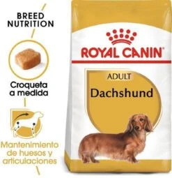 Royal Canin Dachshund/Teckel Adult 7.5 KG 19 Royal Canin Dachshund/Teckel Adult 7.5 KG -PetSafe Huisdieren Verkoopwinkel 1162x1200 1