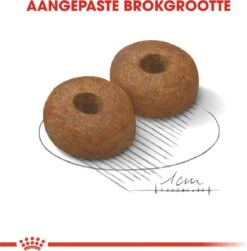 Royal Canin Maxi Ageing 8+ 15 KG -PetSafe Huisdieren Verkoopwinkel 1179x1200 4