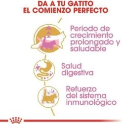 Royal Canin Maine Coon Kitten - Kattenvoer - 4 Kg -PetSafe Huisdieren Verkoopwinkel 1180x1200