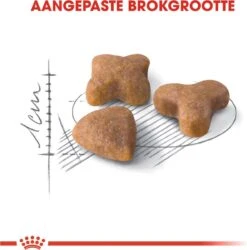 Royal Canin Sensible 33 - Kattenvoer - 10+2 Kg Bonusbag 16 Royal Canin Sensible 33 - Kattenvoer - 10+2 Kg Bonusbag -PetSafe Huisdieren Verkoopwinkel 1185x1200 4