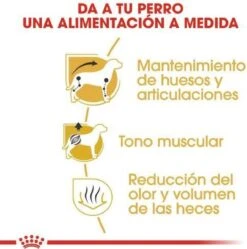 Royal Canin Dachshund/Teckel Adult 7.5 KG 20 Royal Canin Dachshund/Teckel Adult 7.5 KG -PetSafe Huisdieren Verkoopwinkel 1190x1200