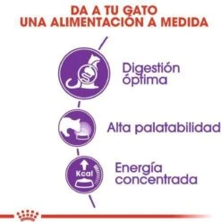 Royal Canin Sensible 33 - Kattenvoer - 10+2 Kg Bonusbag 15 Royal Canin Sensible 33 - Kattenvoer - 10+2 Kg Bonusbag -PetSafe Huisdieren Verkoopwinkel 1197x1200 3