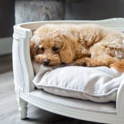 Lord Lou - George Roze Velvet S - Luxe Hondenmand - Luxe Kattenmand - 49x40x31 15 Lord Lou - George Roze Velvet S - Luxe Hondenmand - Luxe Kattenmand - 49x40x31 -PetSafe Huisdieren Verkoopwinkel 1198x1200 2