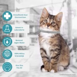 Biologische Vlooien- En Tekenband Voor Katten - BLAUW - Zonder Giftige Pesticiden - Veilig En Verantwoord -PetSafe Huisdieren Verkoopwinkel 1199x1200 9