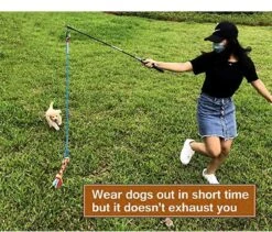 CF Pack - Hond Buitenspeelgoed Actief Behendigheid Touw Dog Flirt Pole Flirtpole Toy Tug Tease Wand Non-Bungee Cord Dog Toy For Fun Obedience Training Extandable Toy Honden Speelgoed Hondenspeelgoed Behendigheidspeelgoed -PetSafe Huisdieren Verkoopwinkel 1200x1026 2