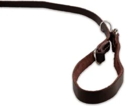 Multifunctionele Hondenriem - 220cm - Bruin - Leren Hondenriem - 100% Volnerfleer - Hondenriem Leer - Leiband Hond -PetSafe Huisdieren Verkoopwinkel 1200x1026