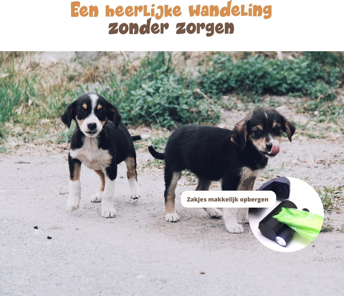 Dubbele Honden Riem – Leiband Hond – Hondenlijn – Looplijn Hond – 2 Honden – 3 Meter – Tot 12kg Per Hond – Reflecterende Lijnen – Met Zaklamp – 360° Draaien – Verstelbaar - Zwart 5 Dubbele Honden Riem – Leiband Hond – Hondenlijn – Looplijn Hond – 2 Honden – 3 Meter – Tot 12kg Per Hond – Reflecterende Lijnen – Met Zaklamp – 360° Draaien – Verstelbaar - Zwart - Afbeelding 5