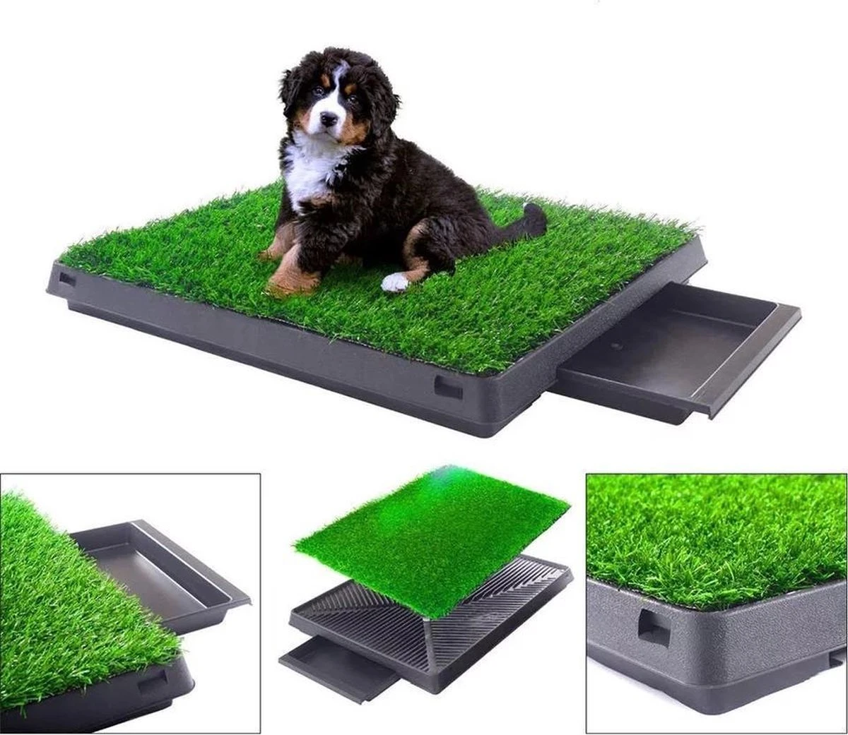 Merkloos Hondentoilet Kunstgras Met Bak - Indoor Dierentoilet - Uitneembare Opvangbak - Puppy Training Pets - Outdoor/Balkon/Tuin/Indoor Toilet - 50x64 Cm 1 Merkloos Hondentoilet Kunstgras Met Bak - Indoor Dierentoilet - Uitneembare Opvangbak - Puppy Training Pets - Outdoor/Balkon/Tuin/Indoor Toilet - 50x64 Cm