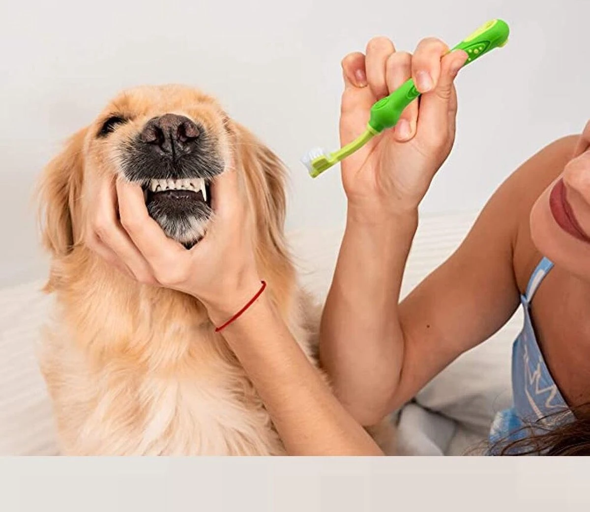 Merkloos Tandenborstel - Voor Huisdieren - Honden - 3 Zijdig - Multi-Hoek - Schoonmaken - Tanden - Slechte Adem - Tandsteen - Tandenborstel - Gezondheid - Blauw 4 Merkloos Tandenborstel - Voor Huisdieren - Honden - 3 Zijdig - Multi-Hoek - Schoonmaken - Tanden - Slechte Adem - Tandsteen - Tandenborstel - Gezondheid - Blauw - Afbeelding 4