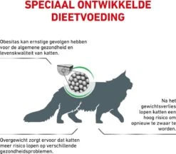Royal Canin Satiety Weight Management - Kattenvoer - 6 Kg -PetSafe Huisdieren Verkoopwinkel 1200x1050 4