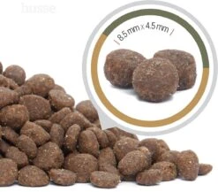 Husse Opus Lynx Graanvrij Kattenvoer - 7 Kg -PetSafe Huisdieren Verkoopwinkel 1200x1056 2