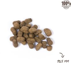 VITALstyle HUID+VACHT - Hondenbrokken - 12 Kg -PetSafe Huisdieren Verkoopwinkel 1200x1066