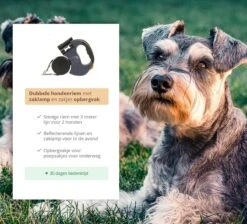 Dubbele Honden Riem – Leiband Hond – Hondenlijn – Looplijn Hond – 2 Honden – 3 Meter – Tot 12kg Per Hond – Reflecterende Lijnen – Met Zaklamp – 360° Draaien – Verstelbaar - Zwart 15 Dubbele Honden Riem – Leiband Hond – Hondenlijn – Looplijn Hond – 2 Honden – 3 Meter – Tot 12kg Per Hond – Reflecterende Lijnen – Met Zaklamp – 360° Draaien – Verstelbaar - Zwart -PetSafe Huisdieren Verkoopwinkel 1200x1087 1