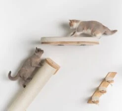 RHRQuality Wandmeubel Wandmontage Klimmuur Kat 53 X 43cm Luxe Kattenbed Creme Wand Muur Krabpaal Katten Muurbevestiging -PetSafe Huisdieren Verkoopwinkel 1200x1090 1