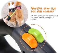 Dubbele Honden Riem – Leiband Hond – Hondenlijn – Looplijn Hond – 2 Honden – 3 Meter – Tot 12kg Per Hond – Reflecterende Lijnen – Met Zaklamp – 360° Draaien – Verstelbaar - Zwart 12 Dubbele Honden Riem – Leiband Hond – Hondenlijn – Looplijn Hond – 2 Honden – 3 Meter – Tot 12kg Per Hond – Reflecterende Lijnen – Met Zaklamp – 360° Draaien – Verstelbaar - Zwart -PetSafe Huisdieren Verkoopwinkel 1200x1096 2