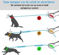 Oak's First Elastische En Diervriendelijke Looplijn Met Heupriem - Hondenriem - 150cm/210cm - Grijs -PetSafe Huisdieren Verkoopwinkel 1200x1114 3