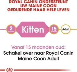Royal Canin Maine Coon Kitten - Kattenvoer - 4 Kg -PetSafe Huisdieren Verkoopwinkel 1200x1114 8