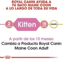 Royal Canin Maine Coon Kitten - Kattenvoer - 4 Kg -PetSafe Huisdieren Verkoopwinkel 1200x1127 1