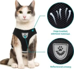 Merkloos Kattentuigje Met Looplijn | Zwart Kattenharnas | Easy Step In | Kattenriem | Kattenlijn | Kattentuig | Maat S 11 Merkloos Kattentuigje Met Looplijn | Zwart Kattenharnas | Easy Step In | Kattenriem | Kattenlijn | Kattentuig | Maat S -PetSafe Huisdieren Verkoopwinkel 1200x1131