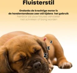 Hondentondeuse Professioneel - 2 In 1 - Honden & Katten - Hondentrimmer - Dikke & Dunne Vacht -PetSafe Huisdieren Verkoopwinkel 1200x1136 3