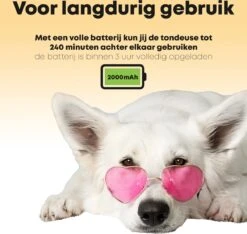 Hondentondeuse Professioneel - 2 In 1 - Honden & Katten - Hondentrimmer - Dikke & Dunne Vacht -PetSafe Huisdieren Verkoopwinkel 1200x1136 4