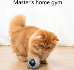 Otiume Interactieve Speelbal - Slimme Interactieve Jaag Speeltje Voor Katten - Kattenspeeltjes - Intelligente Jaagbal - AI -USB Oplaadbaar - LED - Blauw -PetSafe Huisdieren Verkoopwinkel 1200x1137 8