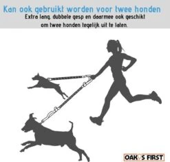 Oak's First Elastische En Diervriendelijke Looplijn Met Heupriem - Hondenriem - 150cm/210cm - Grijs -PetSafe Huisdieren Verkoopwinkel 1200x1141
