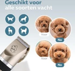 BYER Professionele Dieren Tondeuse Set - Voor Huisdieren Katten & Honden - Draadloos - Oplaadbare Pet Trimmer - Dog Tondeuze Clipper - 5 Standen & Vier Opzetkammen - Low Noise 12 BYER Professionele Dieren Tondeuse Set - Voor Huisdieren Katten & Honden - Draadloos - Oplaadbare Pet Trimmer - Dog Tondeuze Clipper - 5 Standen & Vier Opzetkammen - Low Noise -PetSafe Huisdieren Verkoopwinkel 1200x1144 1