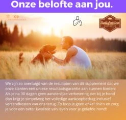 K9 Laboratories - Kalmte & Balans - Supplement - Voor Honden - Tegen Angst - Stress - Agressie - L-tryptofaan - Valeriaan - Hennepzaadolie - 60 Stuks - Voor Een Rustige Hond -PetSafe Huisdieren Verkoopwinkel 1200x1148 3