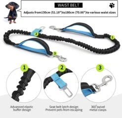 BOTC Looplijn Hond Met Heupriem Voor Hardlopen - Met Drinkbak Hond - Hondenriem - 1 Roll Poep Zakjes - Zwart -PetSafe Huisdieren Verkoopwinkel 1200x1159 1