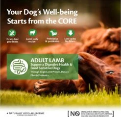 Wellness Core Grain Free Dog Adult Lam - Hondenvoer - 10 Kg 8 Wellness Core Grain Free Dog Adult Lam - Hondenvoer - 10 Kg -PetSafe Huisdieren Verkoopwinkel 1200x1159 2