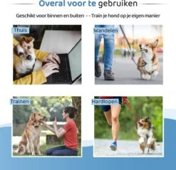 Diervriendelijke Ultrasone Anti- Blaf Apparaat 2023 + Batterijen - Extra Snel Van Blaffen Af - Anti Blafband – Honden Training Blaffen – Hondentrainer -PetSafe Huisdieren Verkoopwinkel 1200x1159