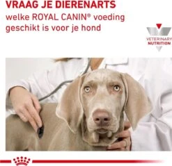 Royal Canin Anallergenic - Hondenvoer - 8 Kg -PetSafe Huisdieren Verkoopwinkel 1200x1161 3