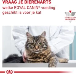 Royal Canin Gastro Intestinal Moderate Calorie Kat 12x85 Gr. -PetSafe Huisdieren Verkoopwinkel 1200x1162 5