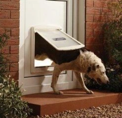 Staywell 777 Hondenluik - Large - Zilver/Tranparant -PetSafe Huisdieren Verkoopwinkel 1200x1168 4