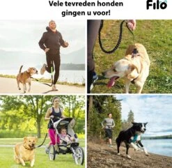 Filo Elastische Hondenriem Middel - Hardlopen En Wandelen - Hardloopriem Hond Handsfree Met Heuptasje - Looplijn Met Heupriem - Canicross Gordel Honden - Riemen - Heupgordel - Leiband -PetSafe Huisdieren Verkoopwinkel 1200x1171