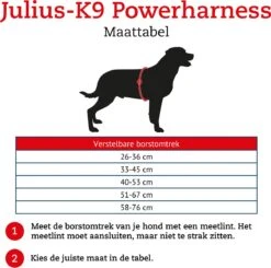 Julius K9 K9®Powertuig, S - Mini, Zwart -PetSafe Huisdieren Verkoopwinkel 1200x1189 1