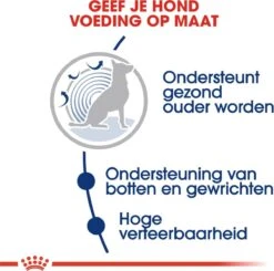 Royal Canin Maxi Ageing 8+ 15 KG -PetSafe Huisdieren Verkoopwinkel 1200x1192 1