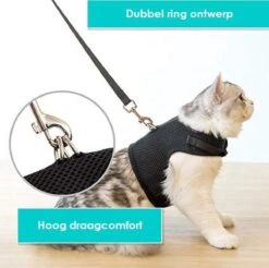 Zootic Kattentuigje Met Leiband Riem Kattenharnas Zwart Maat M Kat & Kitten - Halsomvang 20 Tot 26cm - Borstomvang 30 Tot 34cm -PetSafe Huisdieren Verkoopwinkel 1200x1195 6